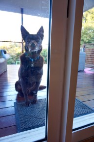 Please don't make me use my nose